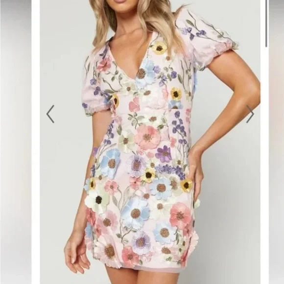 Showpo mini dress - Picture 1 of 4